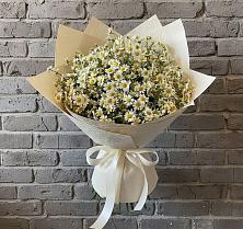 Букет цветов из:  Ромашки #REPLACE_PRED# Новосмолинский